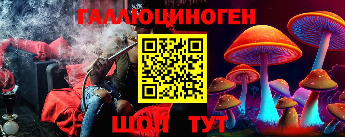 Новоалександровск  Псилоцибиновые грибы GOLDEN TEACHER  Вход с VPN 